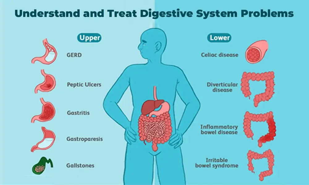 Understand and Treat Digestive System Problems