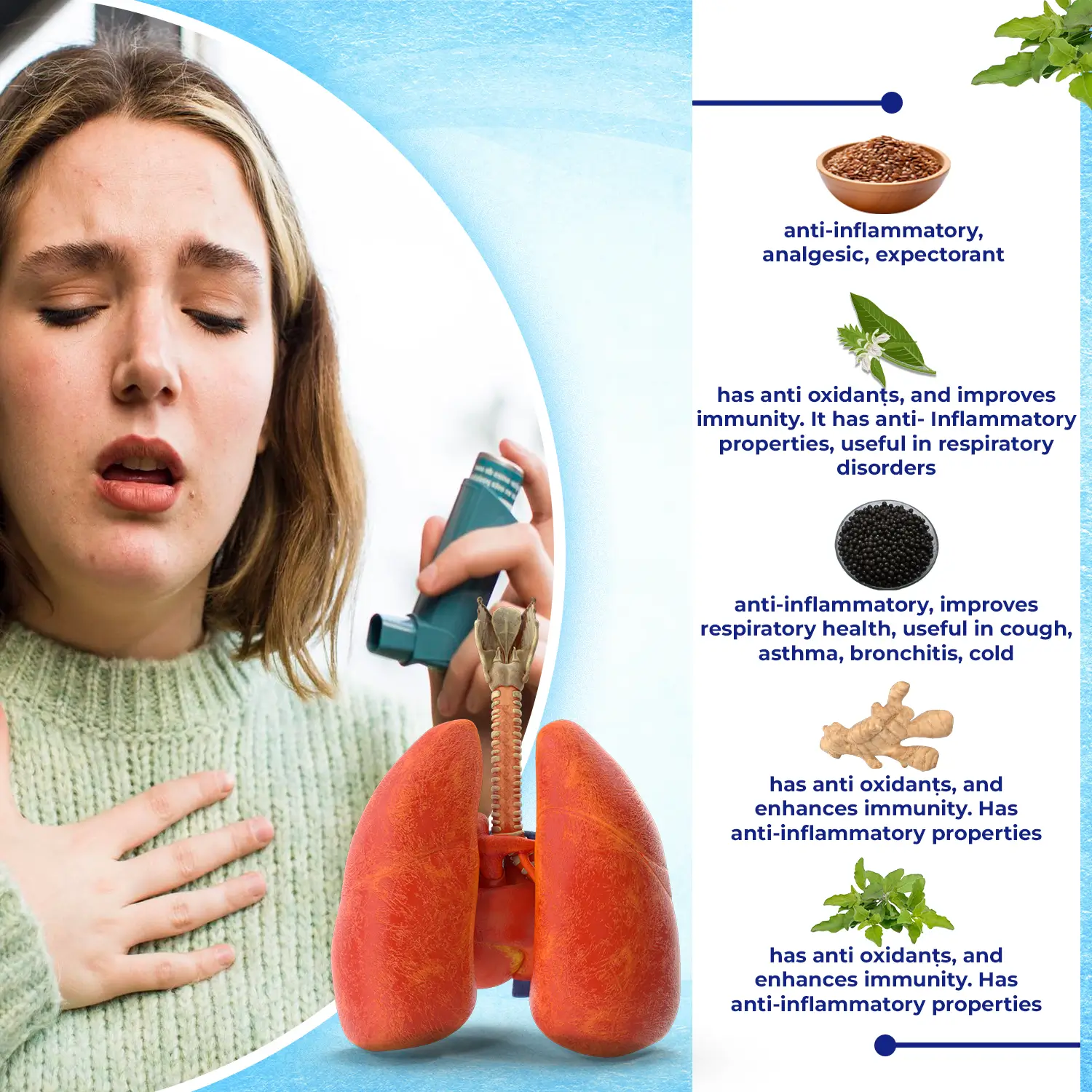 key ingredients asthalex capsule