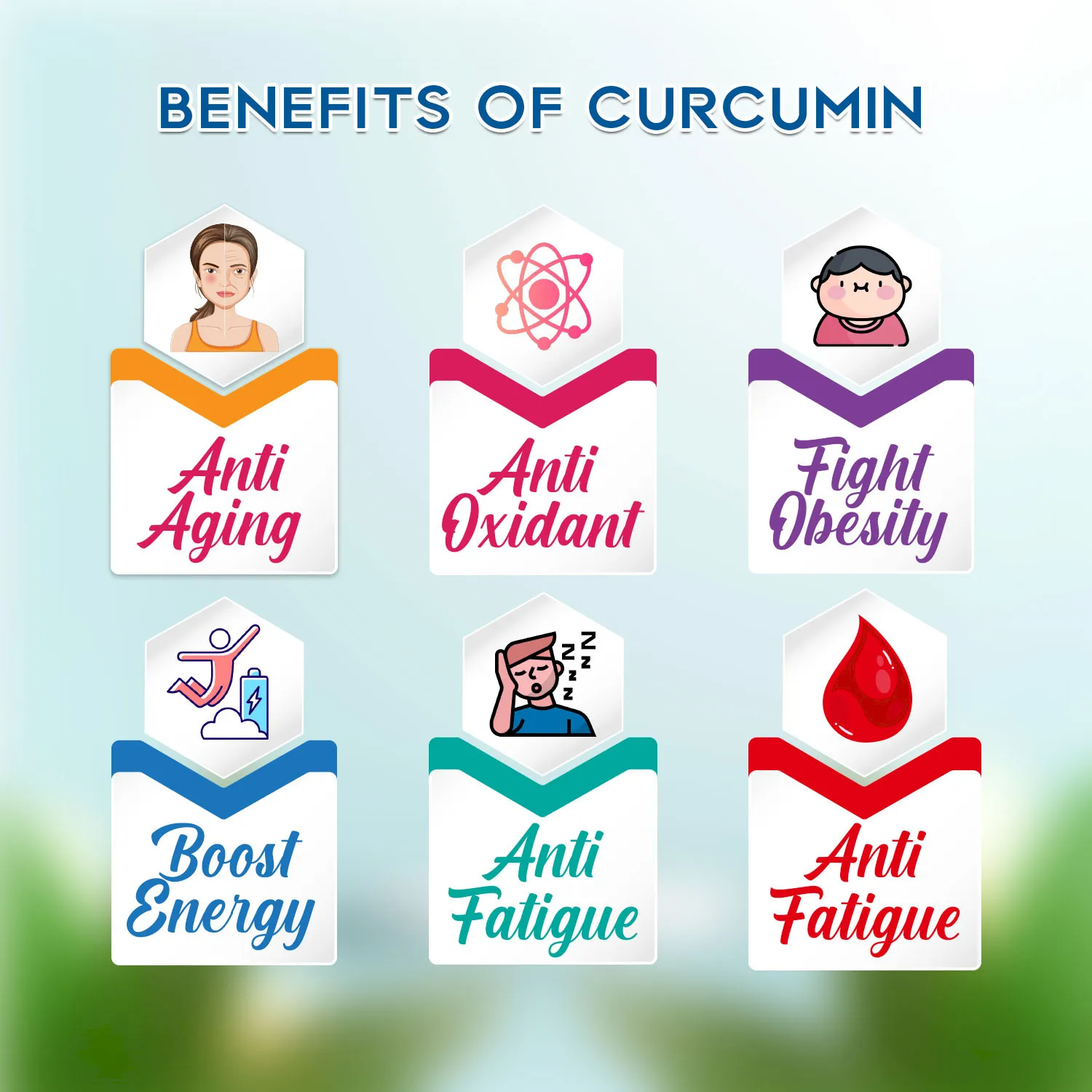 curcumin support healthy skin and digestion