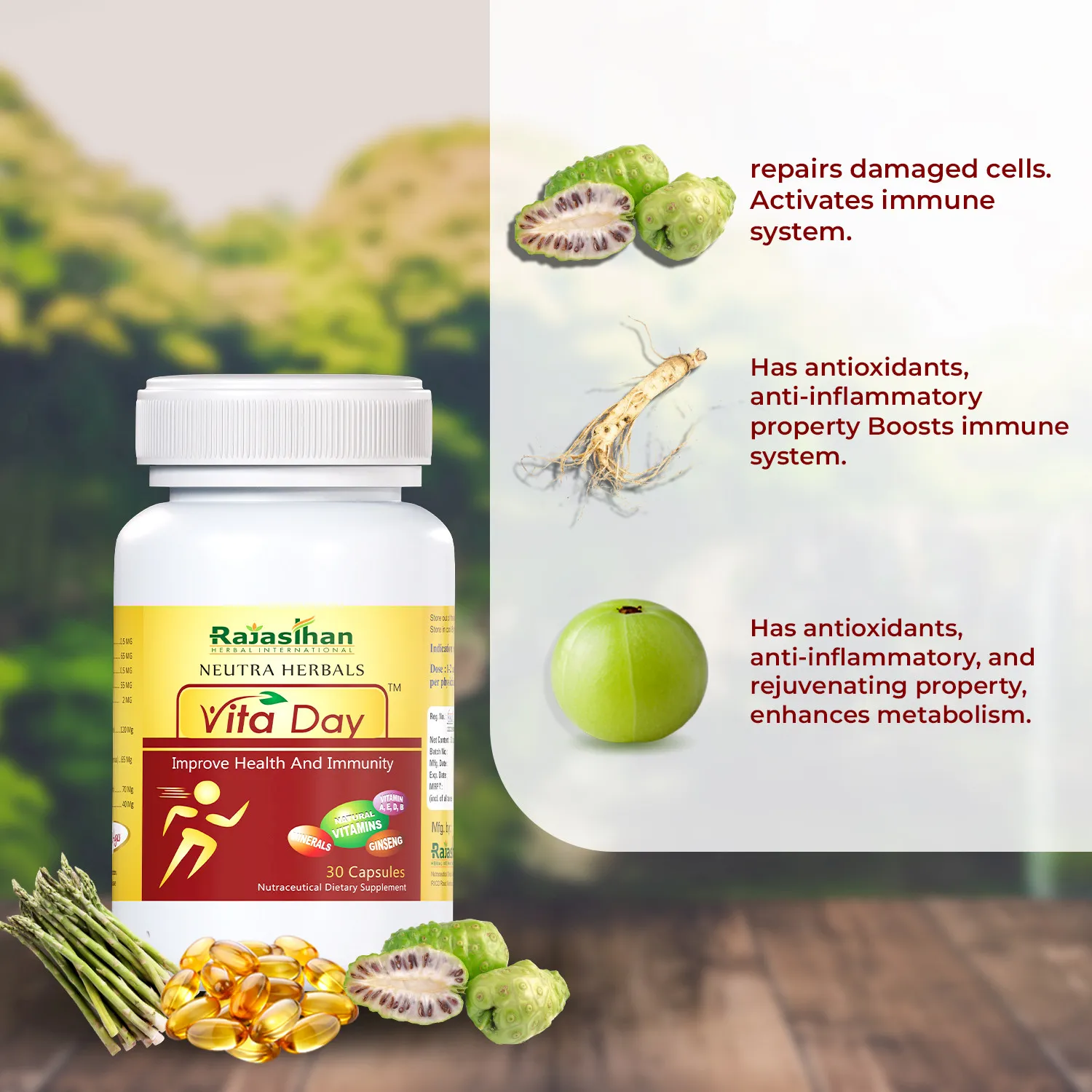 vita day key ingredients and benefits