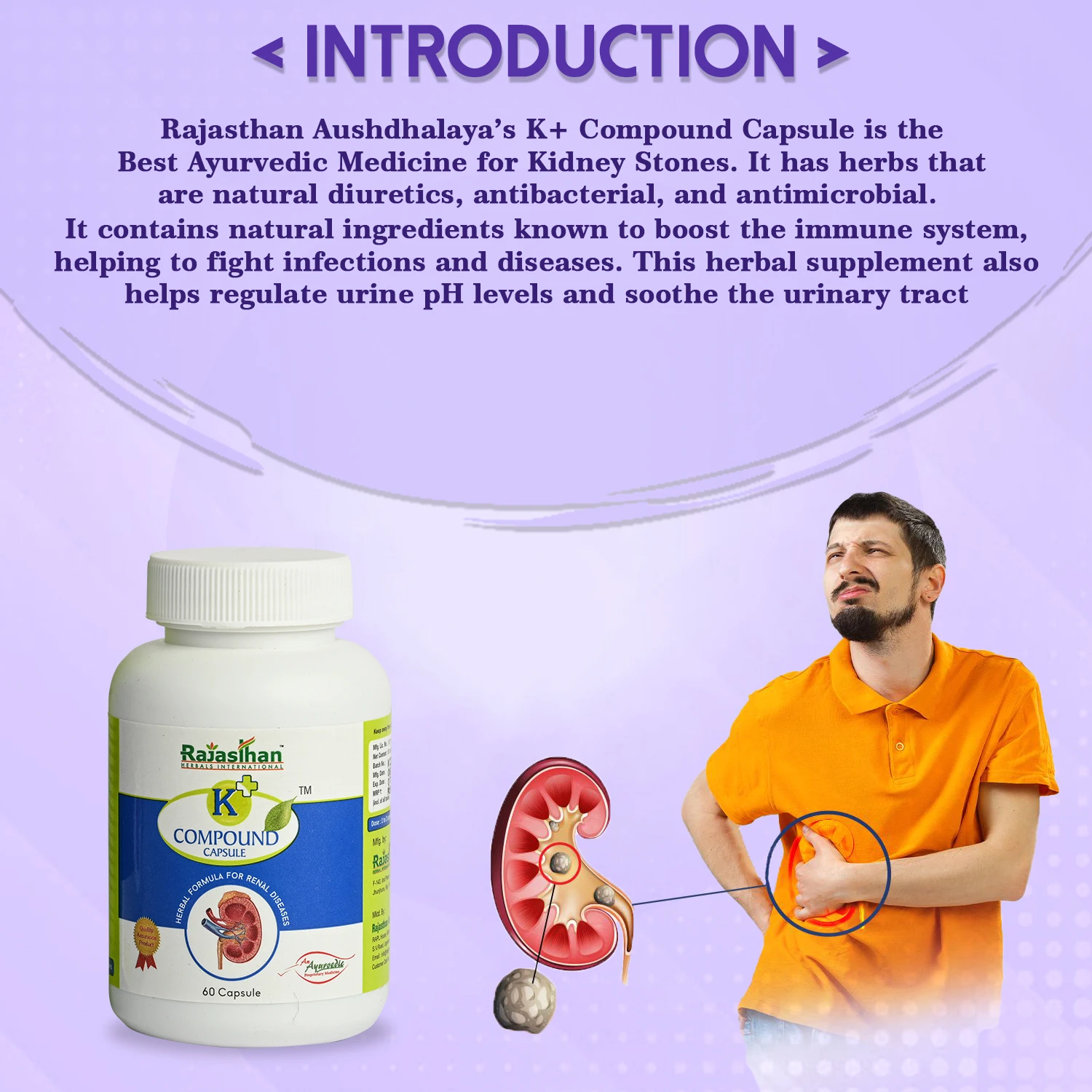 ayurvedic medicine for kidney stone
