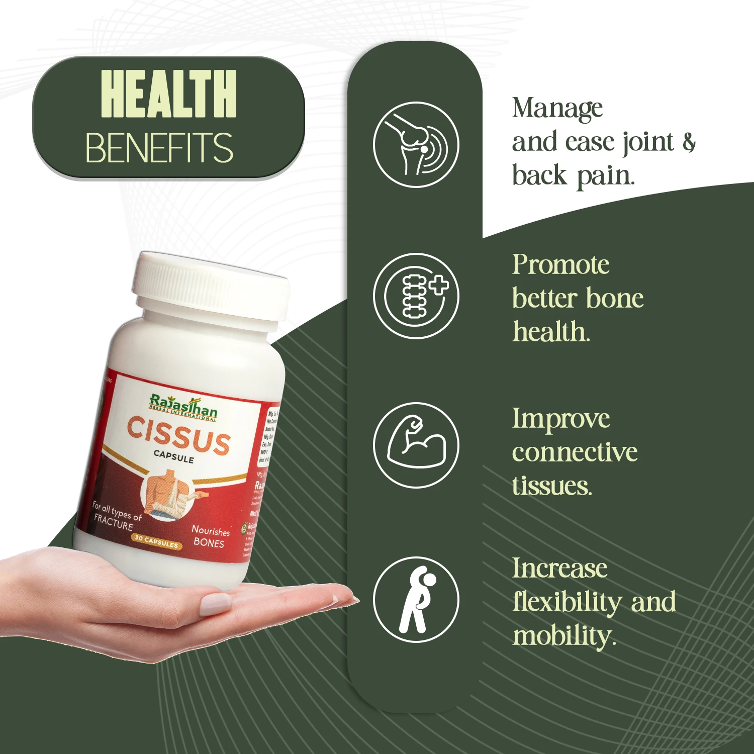 cissus health benefits