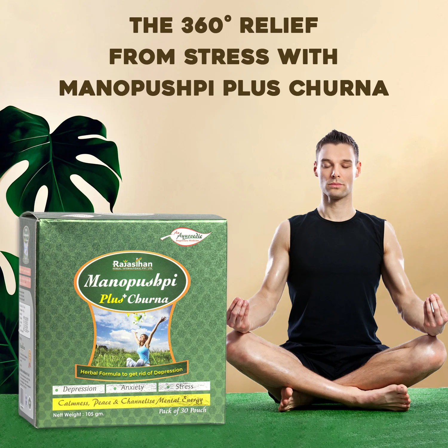 ayurvedic medicine for mental peace