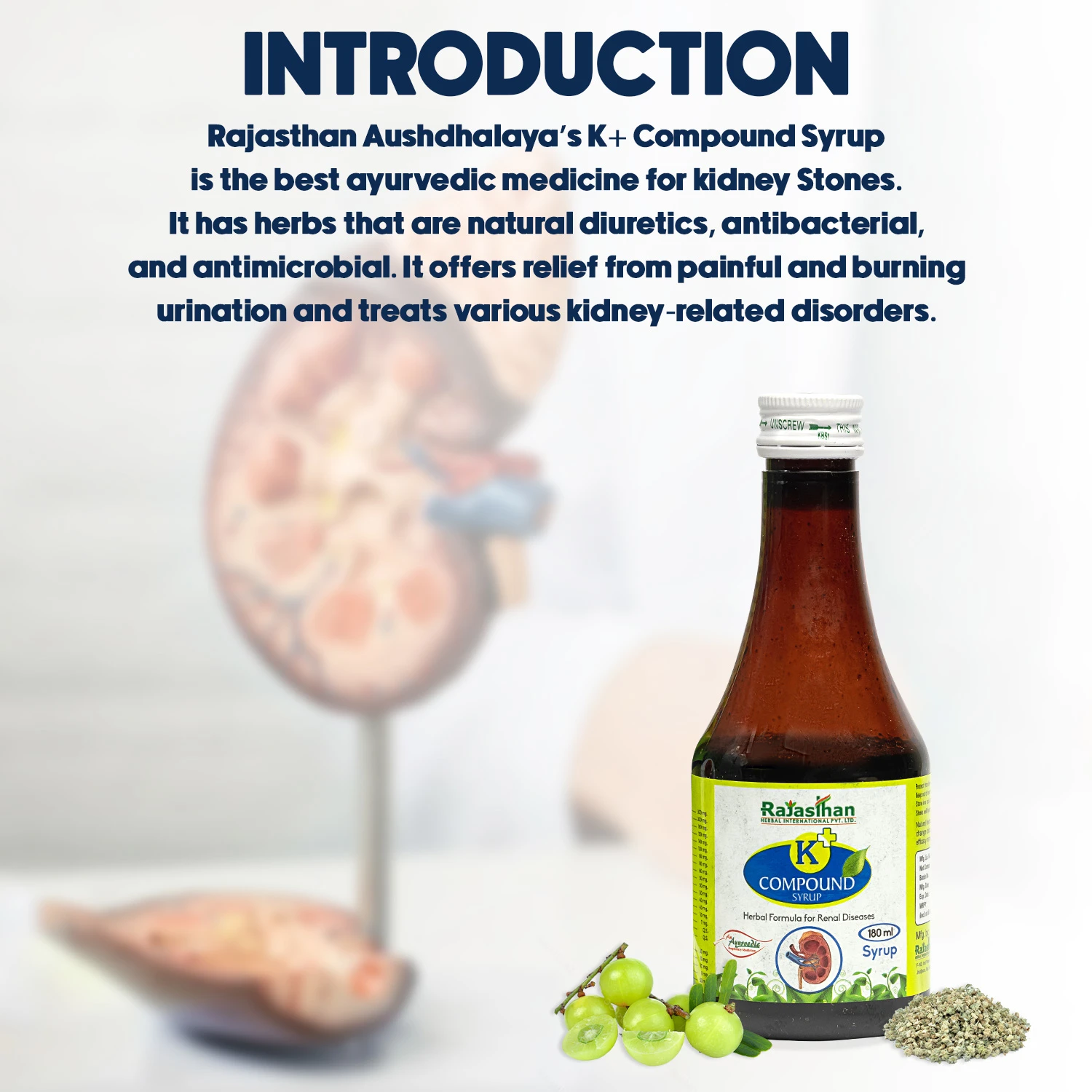 ayurvedic syrup for kidney stone